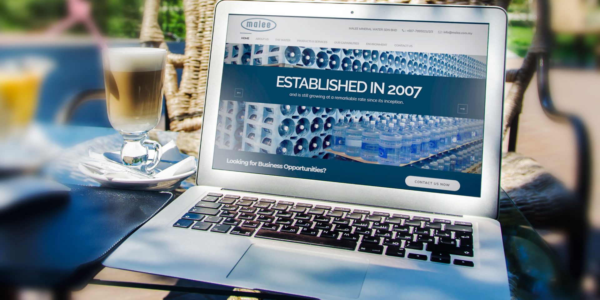 website design for mineral water company