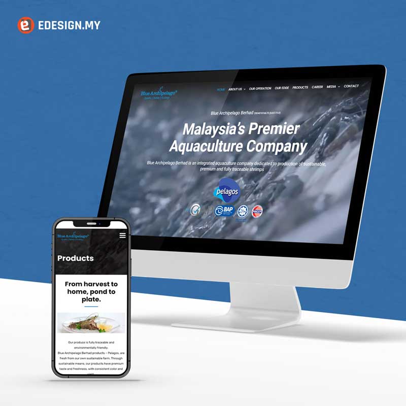 Blue Archipelago Website Design
